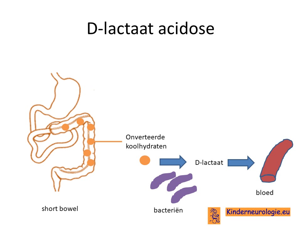 D-lactaat acidose