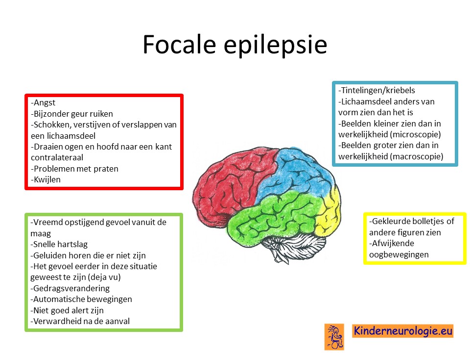 Epilepsieaanvallen